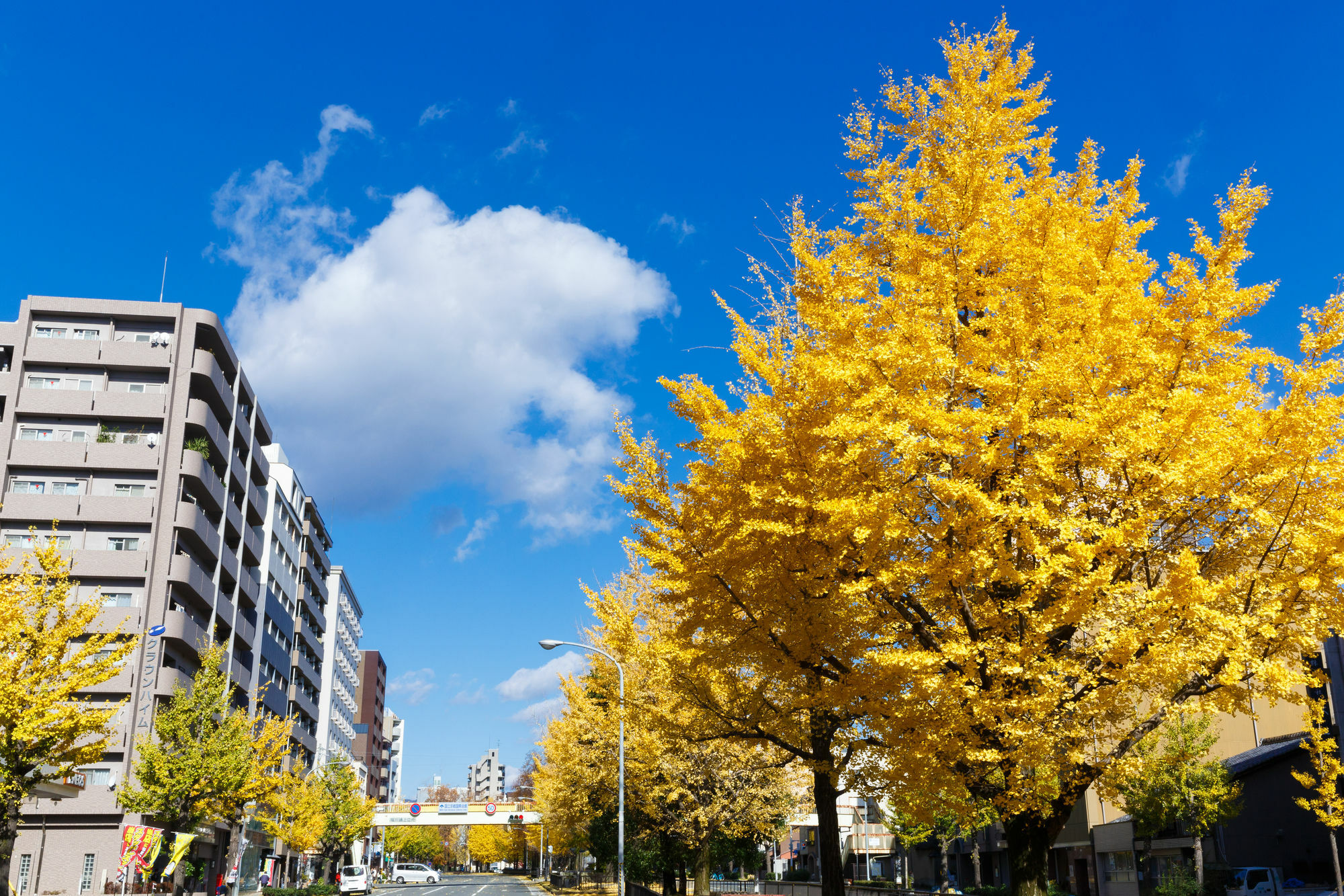 Kyoto City Hotel Kültér fotó